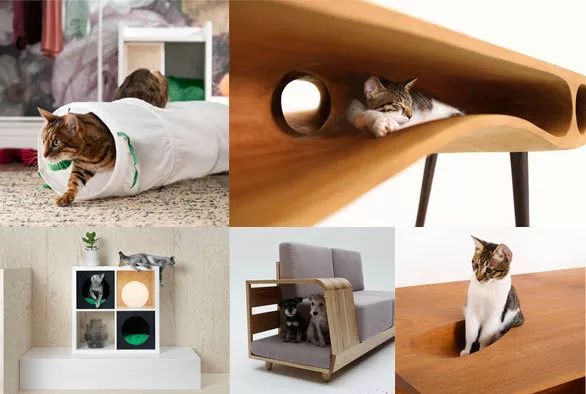 高颜值宠物家具，打造萌宠乐园家居生活体验